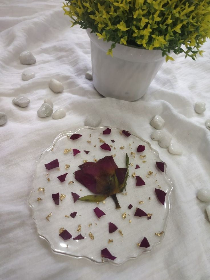 Preserved Rose Coaster set of 1